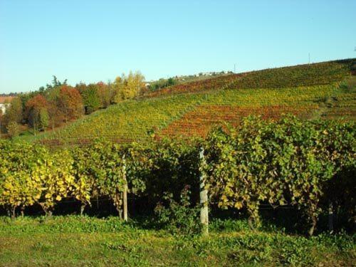 ネイヴェ Cascina Longoriaヴィラ エクステリア 写真