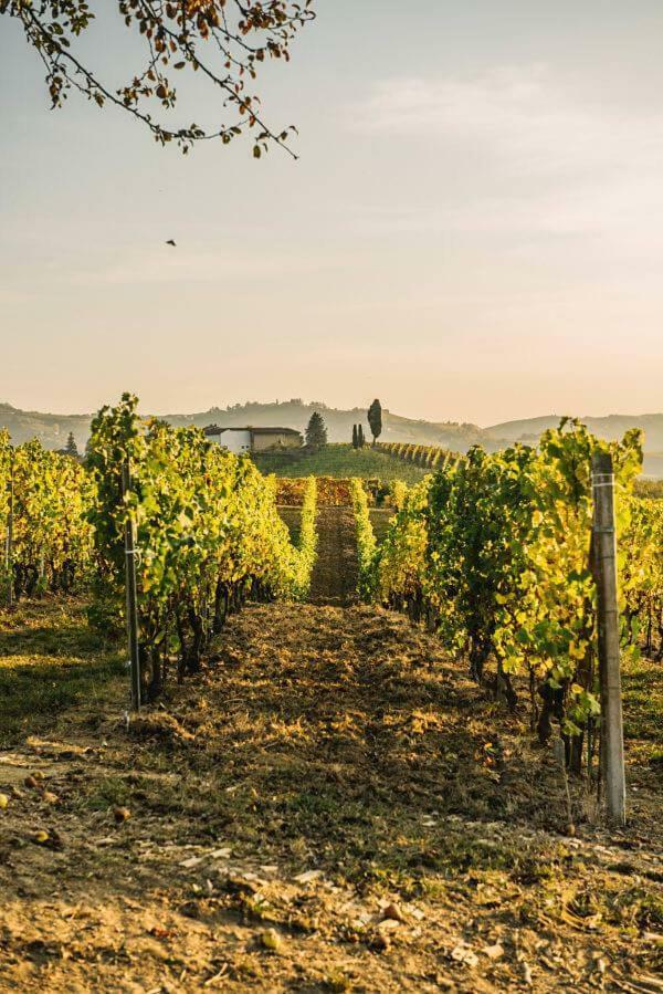 ネイヴェ Cascina Longoriaヴィラ エクステリア 写真